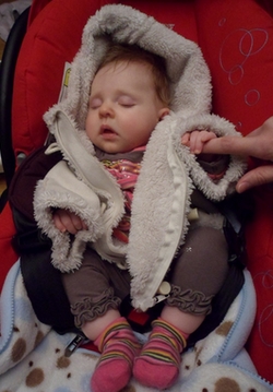 SAM_0361.jpg