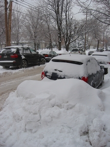 IMG_9439.jpg
