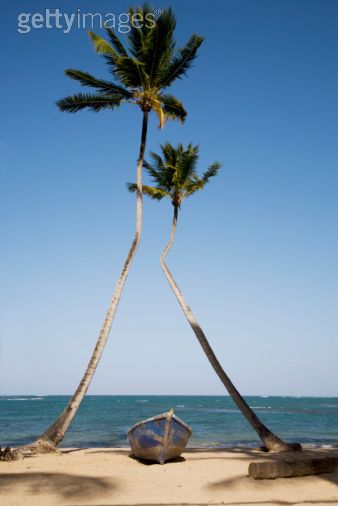 Caribbean. Dominican Republic. Samana Peninsula. Las Terrenas.